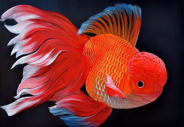 魚(yú)沉底了,只有嘴巴在動(dòng)【“魚(yú)沉底了，只有嘴巴在動(dòng)”這一現(xiàn)象展開(kāi)，魚(yú)兒沉底原因與對(duì)策】