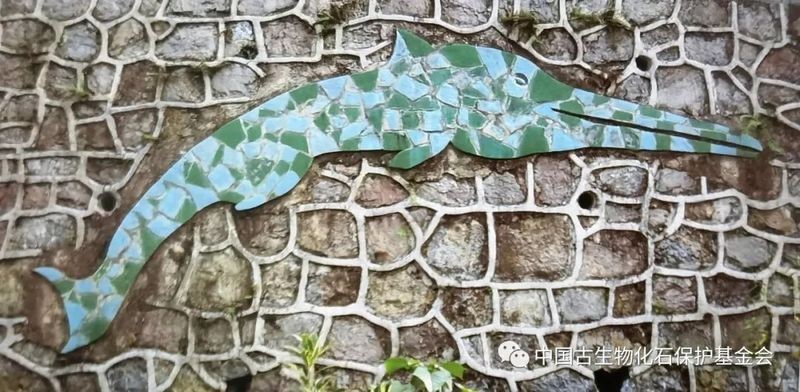 魚龍是爬行動物還是魚類【哺乳魚龍是爬行動物冷血的魚類與冷血的魚類有本質區別】 魚龍是爬行動物還是魚類【哺乳魚龍是爬行動物冷血的魚類與冷血的魚類有本質區別】 龍魚論壇 第6張