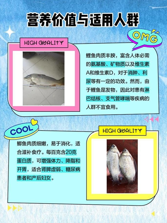 《九龍拉棺》的主要人物有哪些，《九龍拉棺》中九龍拉棺的象征意義