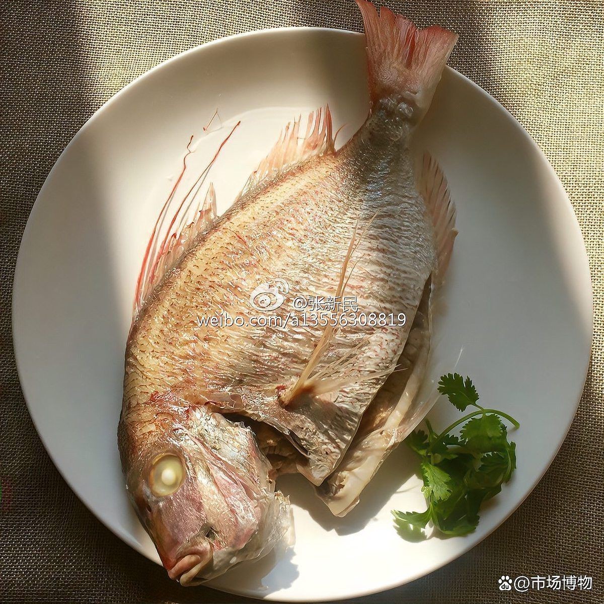 紅立魚是什么魚【深海美味:紅立魚的鮮美秘訣】