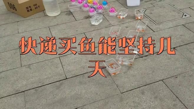 網(wǎng)上買的魚運了5天還活著嗎【網(wǎng)上購買的魚經(jīng)過5天運輸后是否還活著存在多種可能】