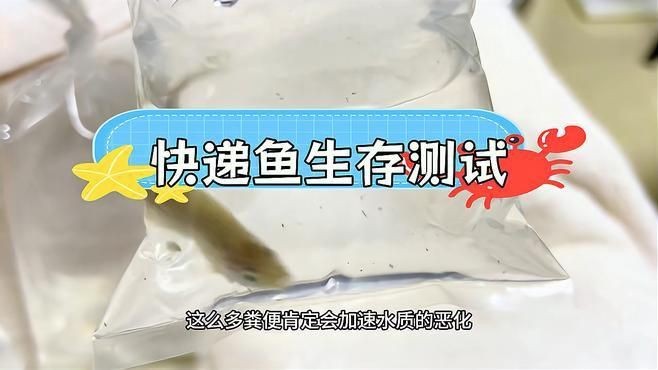 網(wǎng)上買的魚運了5天還活著嗎【網(wǎng)上購買的魚經(jīng)過5天運輸后是否還活著存在多種可能】