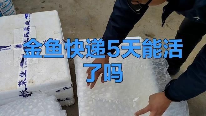網(wǎng)上買的魚運了5天還活著嗎【網(wǎng)上購買的魚經(jīng)過5天運輸后是否還活著存在多種可能】