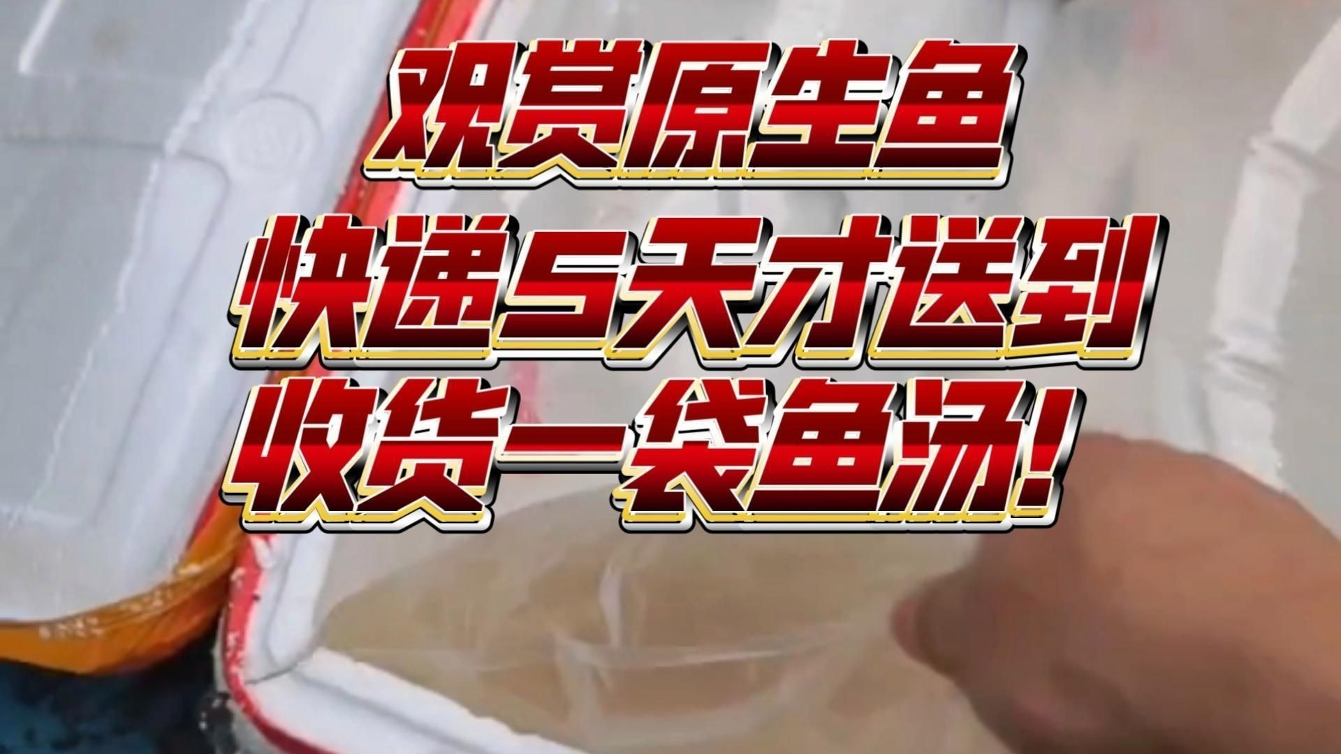 網(wǎng)上買的魚運了5天還活著嗎【網(wǎng)上購買的魚經(jīng)過5天運輸后是否還活著存在多種可能】