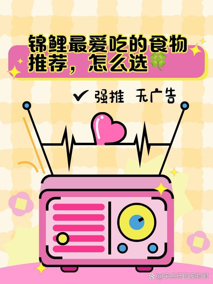 錦鯉3段最建議買的三個東西【《錦鯉3段最建議買的三個東西》】