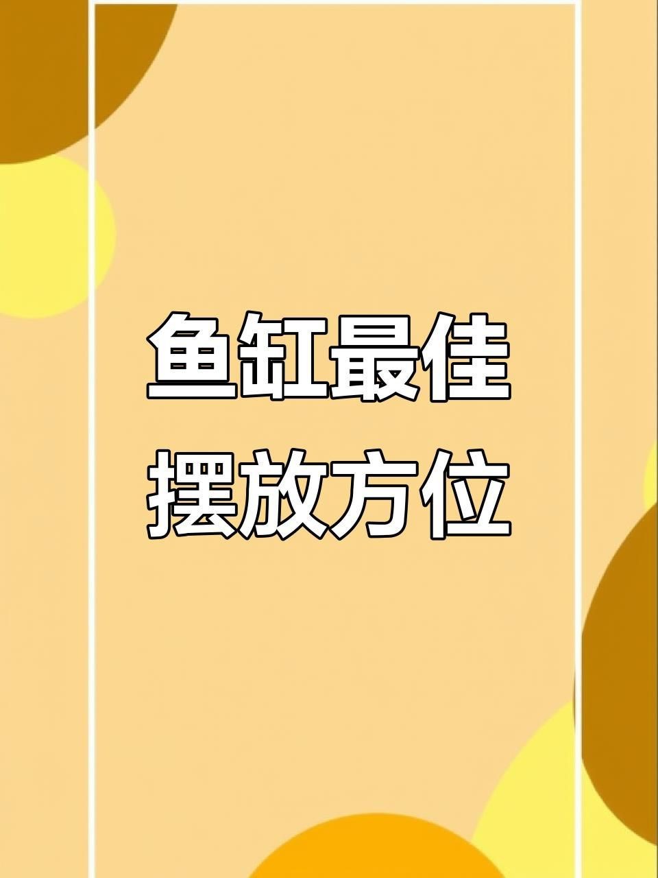 龍魚缸的最佳擺放位置是哪里？【龍魚缸擺放的最佳位置與方向與風水格局及實用細節】 龍魚缸的最佳擺放位置是哪里？【龍魚缸擺放的最佳位置與方向與風水格局及實用細節】 龍魚百科 第3張