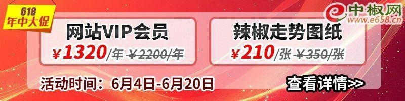 紅龍二十三辣椒價格【《紅龍二十三辣椒價格》】