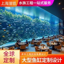 高端龍魚缸的價格范圍是多少？【高端龍魚缸價格如何一起裝修網龍魚缸水族箱品牌排行榜】 高端龍魚缸的價格范圍是多少？【高端龍魚缸價格如何一起裝修網龍魚缸水族箱品牌排行榜】 龍魚論壇 第1張