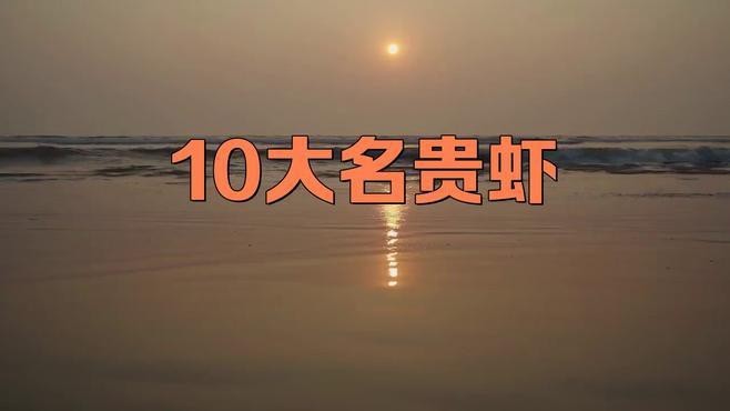 十大龍蝦中哪個最稀有？【世界十大龍蝦排行榜】 十大龍蝦中哪個最稀有？【世界十大龍蝦排行榜】 龍魚論壇 第5張