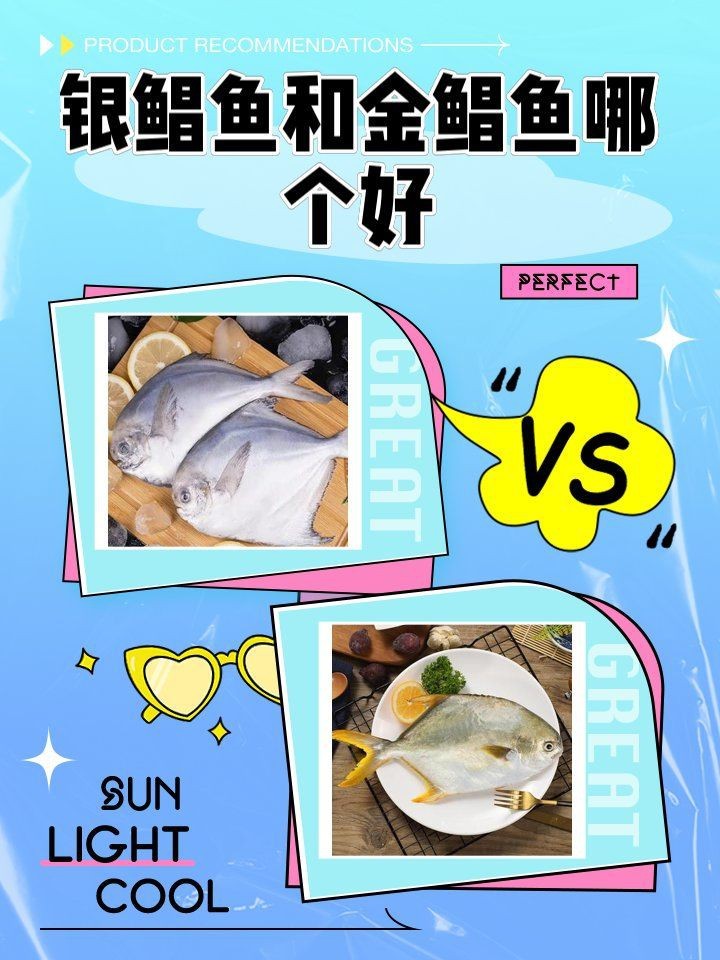 金鯧魚好還是銀鯧魚好【金鯧魚與銀鯧魚哪個好】
