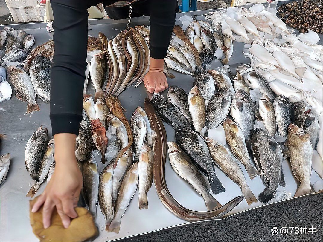 虎魚10元一斤貴嗎【虎魚10元一斤的價格是否合理】