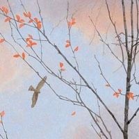 虎魚10元一斤貴嗎【虎魚10元一斤的價格是否合理】