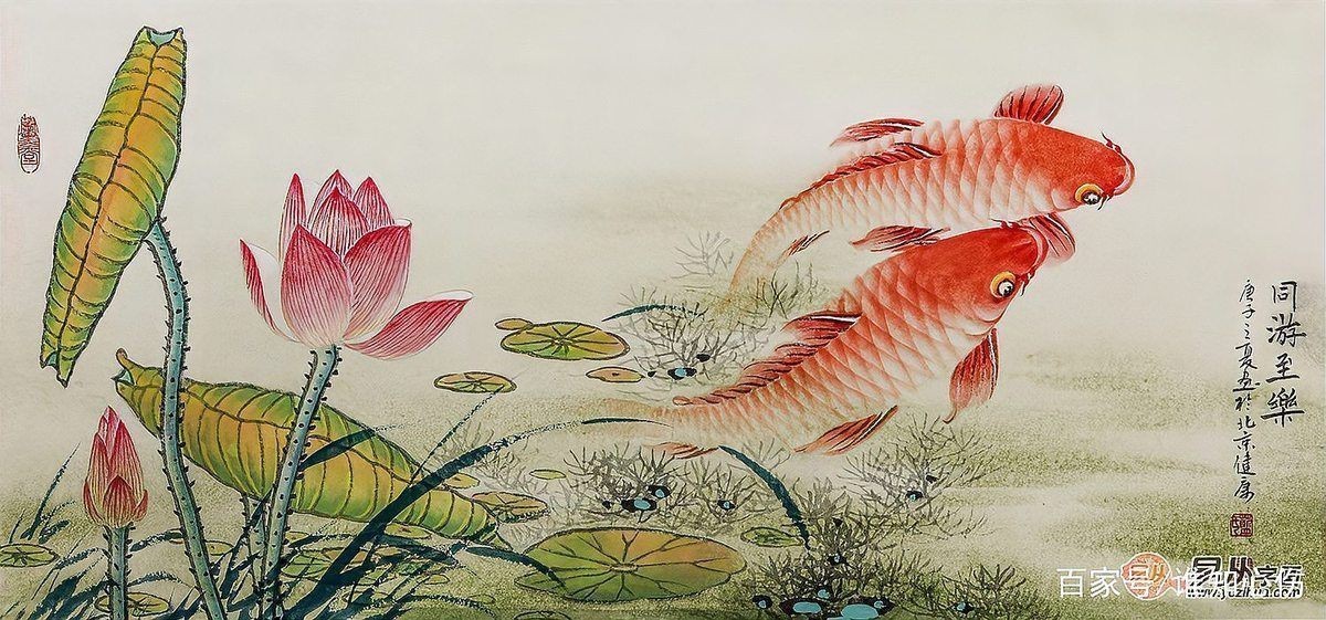 荷花鯉魚圖片【荷花鯉魚圖片欣賞】