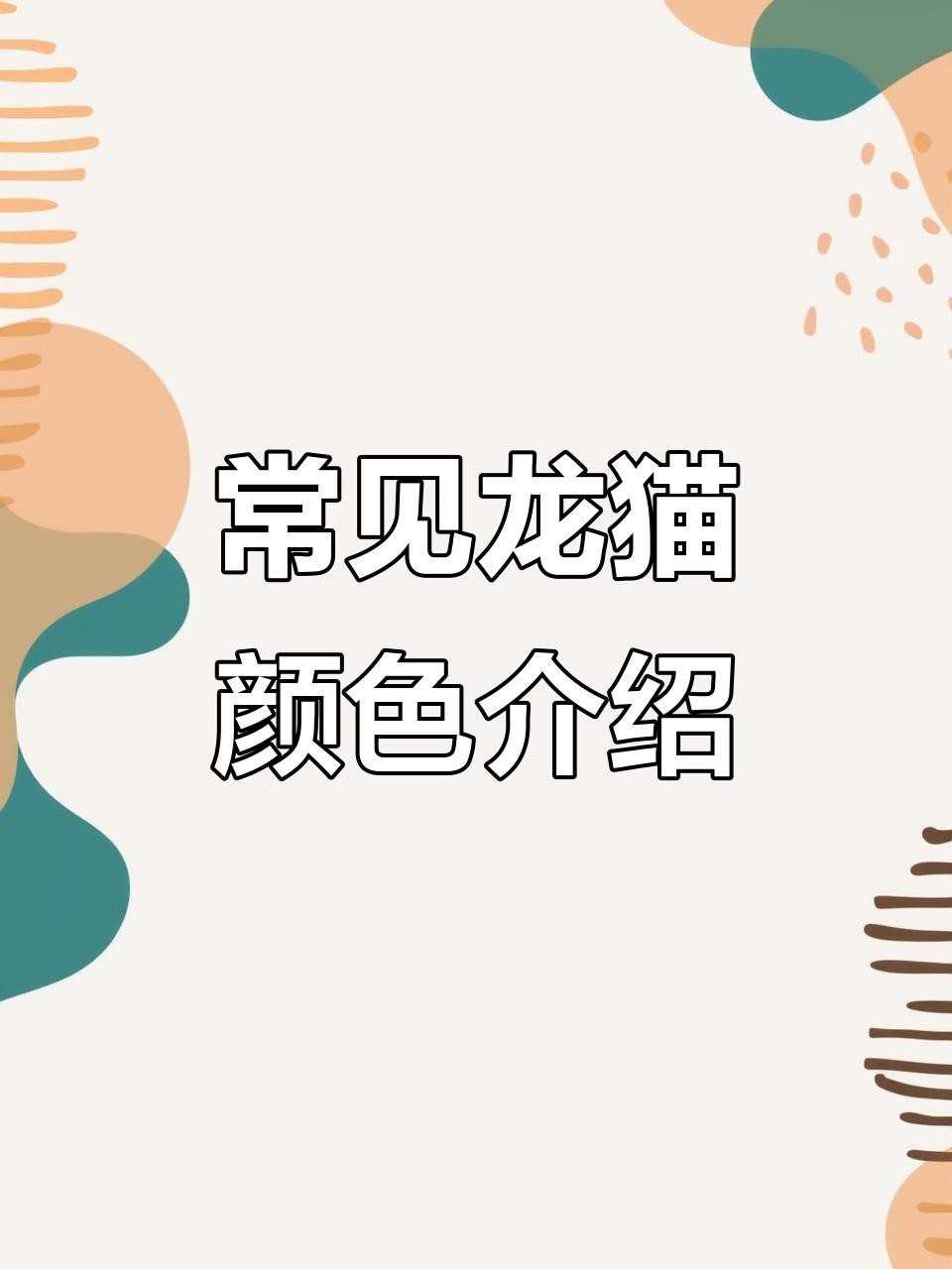 龍貓的其他顏色有哪些寓意？【龍貓的顏色大揭秘】