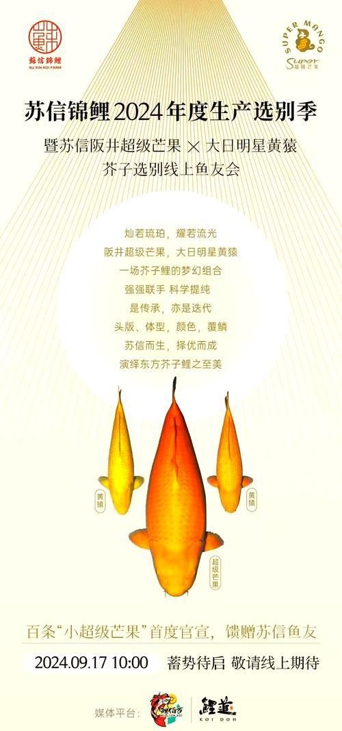 錦鯉芥子圖片【《錦錦鯉芥子圖片》錦鯉的價格是多少】
