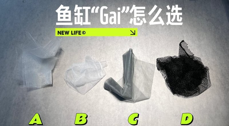 龍魚缸加蓋有哪些材質選擇？【你還不知道告訴你魚缸蓋板怎么選】 龍魚缸加蓋有哪些材質選擇？【你還不知道告訴你魚缸蓋板怎么選】 龍魚百科 第8張