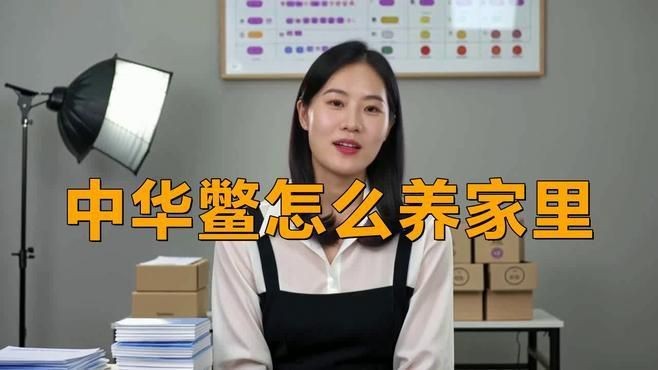 養鱉需要多大的容器？【養鱉容器大小的選擇取決于鱉的品種、數量及生長階段**】
