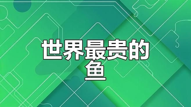 一億元的紅龍魚【一億元的紅龍魚為何能拍出百萬高價揭秘其珍貴背后的原因】 一億元的紅龍魚【一億元的紅龍魚為何能拍出百萬高價揭秘其珍貴背后的原因】 龍魚百科 第2張