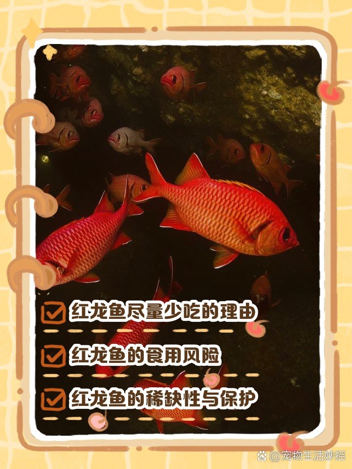 吃紅龍魚(yú)的6大忌【關(guān)于紅龍魚(yú)的食用安全】