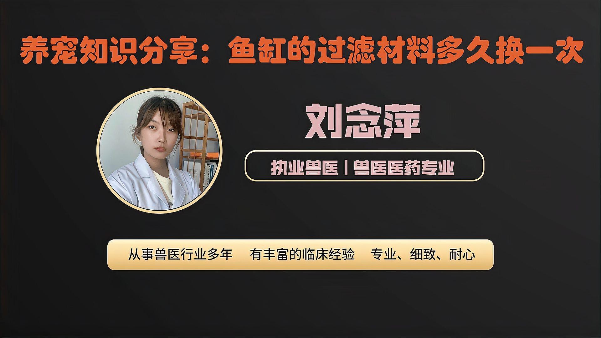 龍魚缸多久洗一次過濾棉？【《龍魚缸過濾棉清洗頻率》】 龍魚缸多久洗一次過濾棉？【《龍魚缸過濾棉清洗頻率》】 龍魚百科 第3張