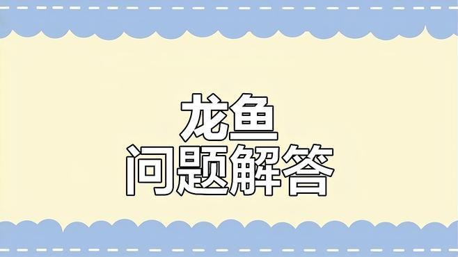 龍魚翻鰓手術(shù)需要多長(zhǎng)時(shí)間【龍魚翻腮手術(shù)如何正確操作】