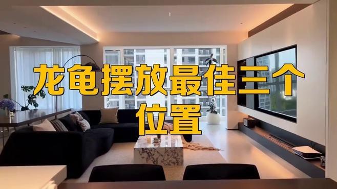 龍龜在哪些位置擺放最吉利？【龍龜擺放位置有講究】 龍龜在哪些位置擺放最吉利？【龍龜擺放位置有講究】 龍魚論壇 第1張