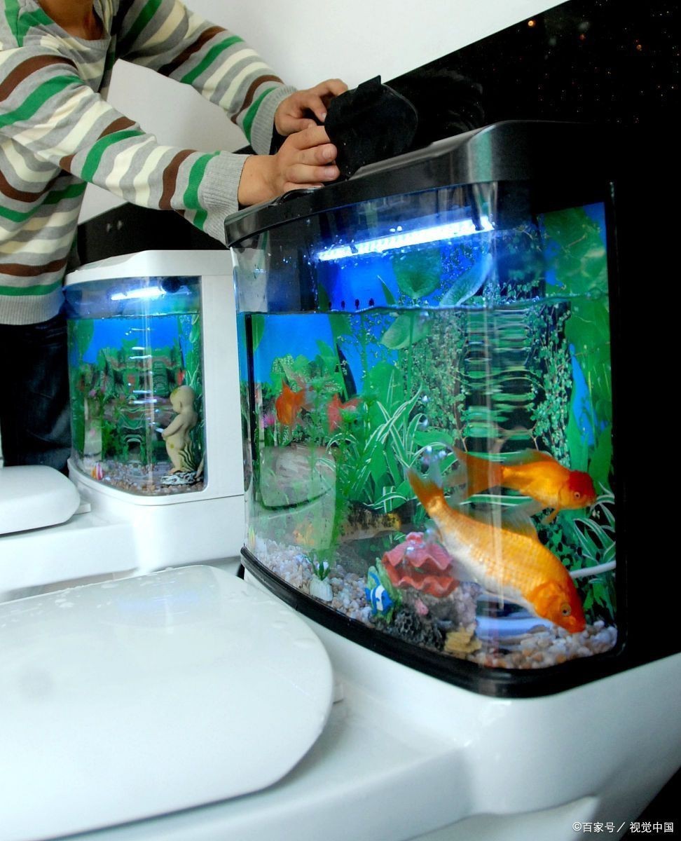 死過魚的魚缸消毒用什么最好【影視奇事，魚缸消毒殺菌用什么藥好】