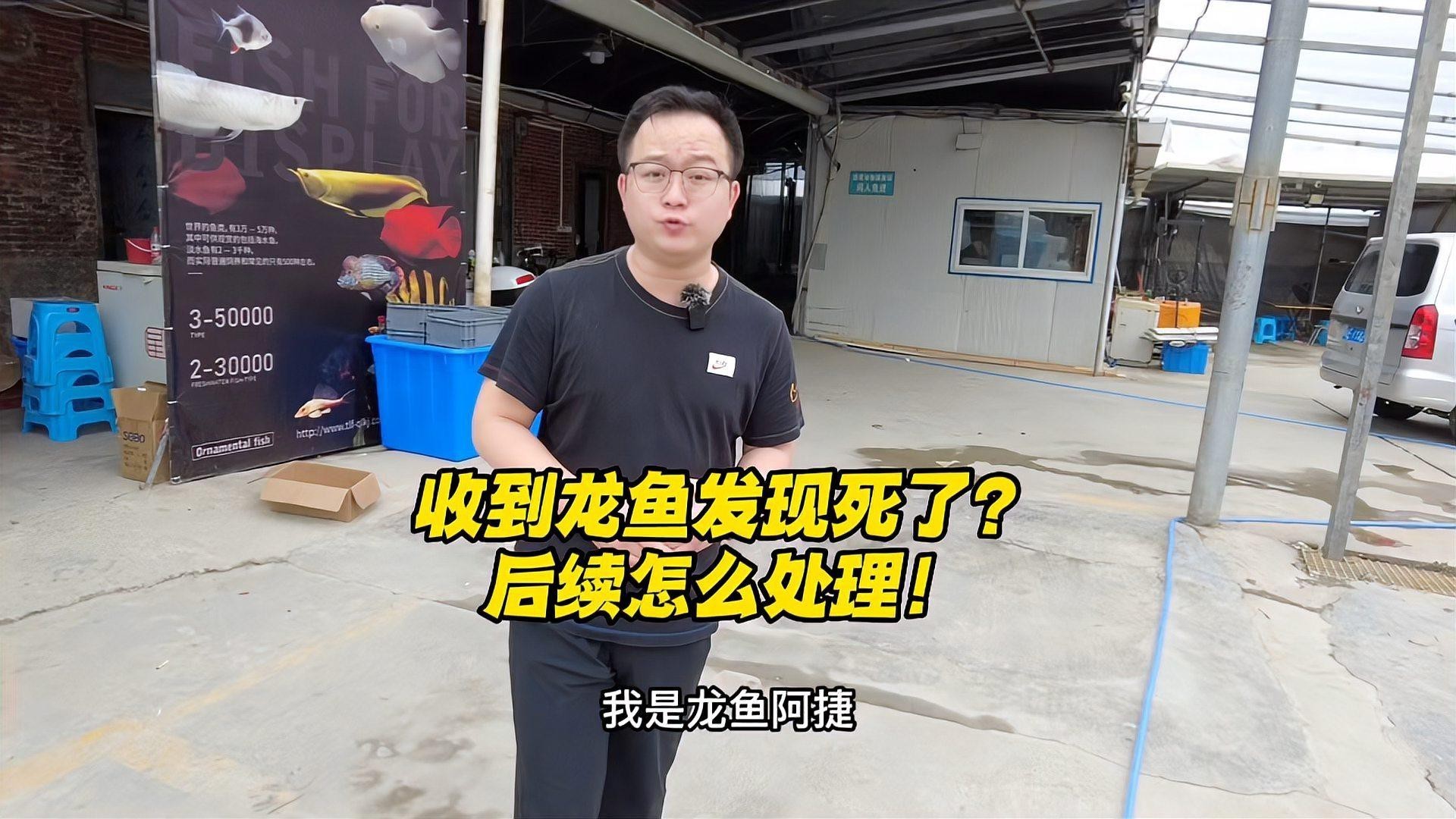 龍魚死亡后如何妥善處理？【景途漫游者魚死了怎么處理景途漫游者魚死用什么方法治理】