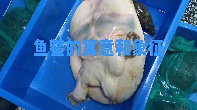 龍騰魚鱉【“龍騰魚鱉”一詞出自唐代詩人元稹的《望云騅馬歌》】 龍魚百科 第3張 龍騰魚鱉【“龍騰魚鱉”一詞出自唐代詩人元稹的《望云騅馬歌》】 龍騰魚鱉【“龍騰魚鱉”一詞出自唐代詩人元稹的《望云騅馬歌》】 龍魚百科 第3張