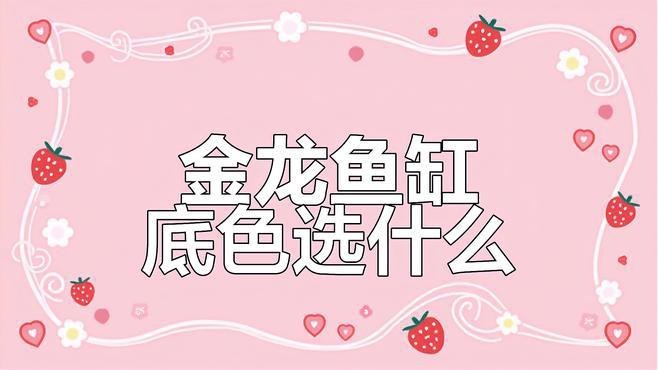 古典金龍魚缸用什么底色【古典金龍缸底選黑還是白哪種環(huán)境更適合它們成長】