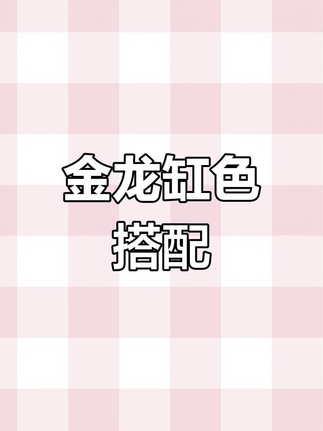 古典金龍魚缸用什么底色【古典金龍缸底選黑還是白哪種環(huán)境更適合它們成長】