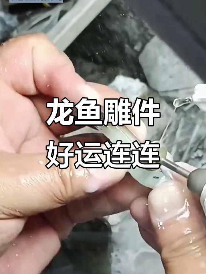 龍魚木雕的收藏價值如何？【龍魚木雕收藏價值】 龍魚木雕的收藏價值如何？【龍魚木雕收藏價值】 龍魚百科 第4張