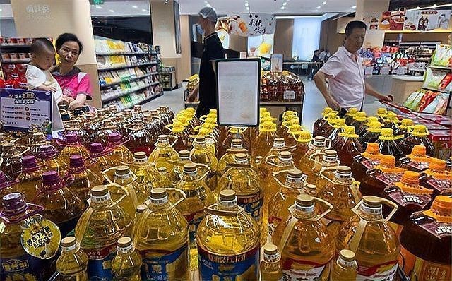 金龍魚5A級【《金龍魚5a級：品質(zhì)之選》】
