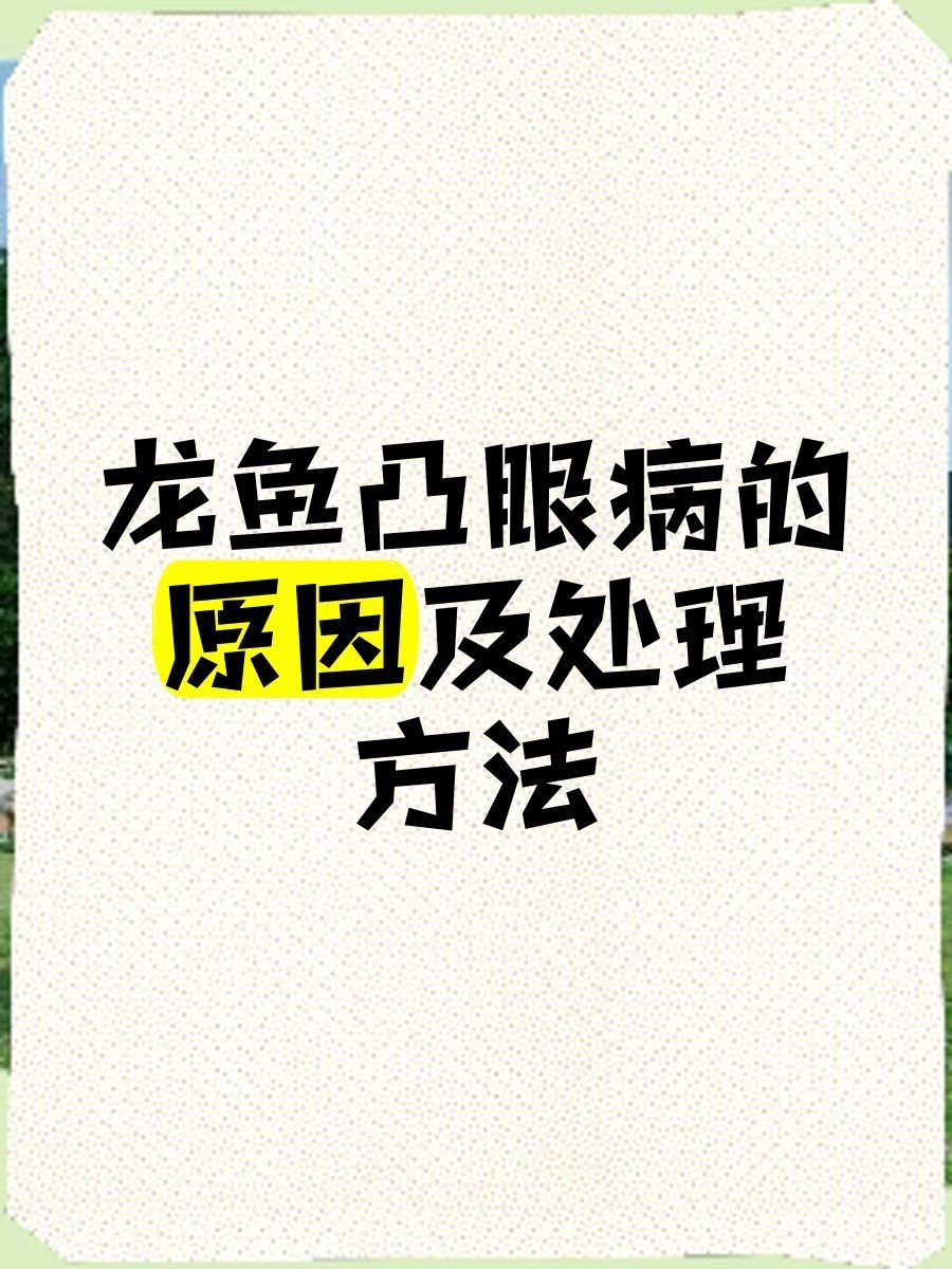 龍魚眼睛發(fā)紅怎么回事