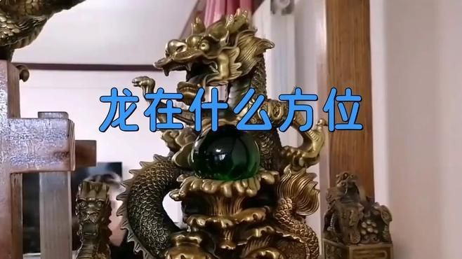白子招財龍的最佳擺放位置【夢為魚擺放龍的最佳三個位置文化縱覽白子招財龍的擺放位置】
