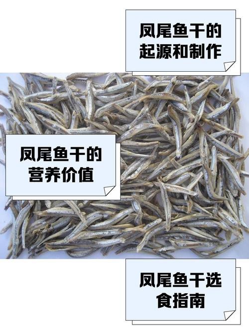 鳳尾魚的圖片【《鳳尾魚：靈動水世界的璀璨精靈》】