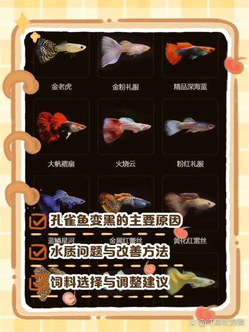 孔雀魚發黑圖片【關于孔雀魚發黑圖片所呈現的現象，往往引發諸多關注與探討】