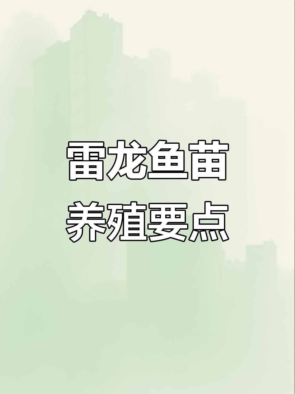 龍魚幼苗 1到3厘米【《龍魚幼苗（1-3厘米）養護要點》】