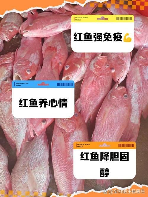 紅魚圖片大全大圖【紅魚圖片大全】 紅魚圖片大全大圖【紅魚圖片大全】 龍魚論壇 第2張