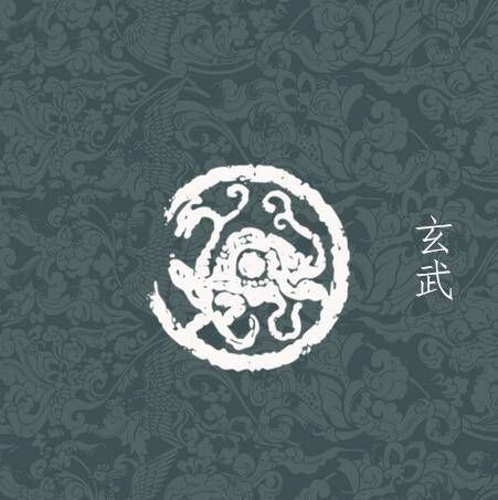 龍龜辟邪最厲害三個地方【龍龜在風水中的辟邪功效與擺放禁忌詳解】 龍龜辟邪最厲害三個地方【龍龜在風水中的辟邪功效與擺放禁忌詳解】 龍魚百科 第8張