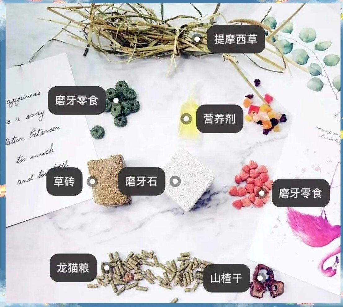 龍貓和貓哪個壽命更長？【龍貓和貓的壽命對比】