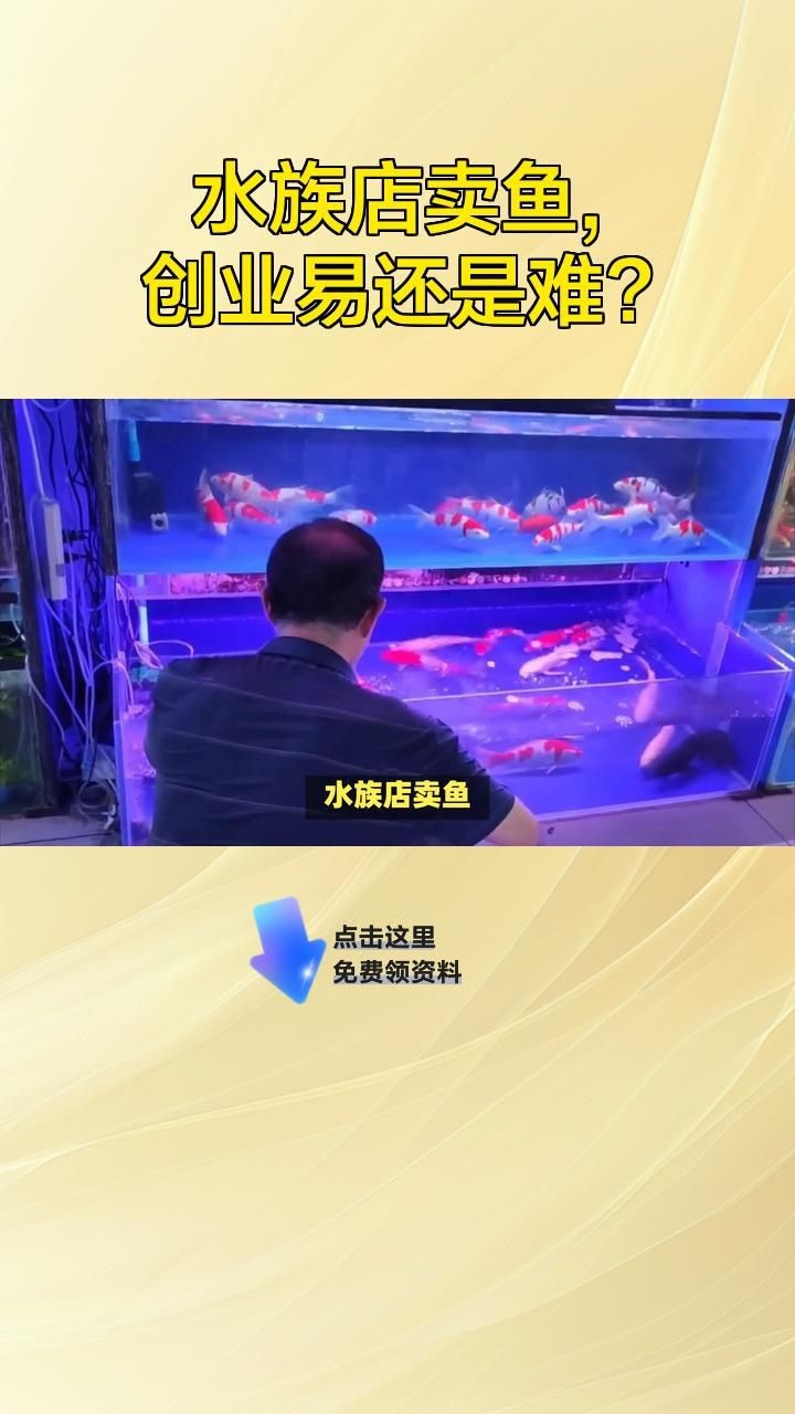 開一個水族館有前景嗎【嗶哩嗶哩嗶哩嗶哩嗶哩嗶哩嗶哩嗶哩嗶哩嗶哩嗶哩嗶哩】 開一個水族館有前景嗎【嗶哩嗶哩嗶哩嗶哩嗶哩嗶哩嗶哩嗶哩嗶哩嗶哩嗶哩嗶哩】 龍魚百科 第2張