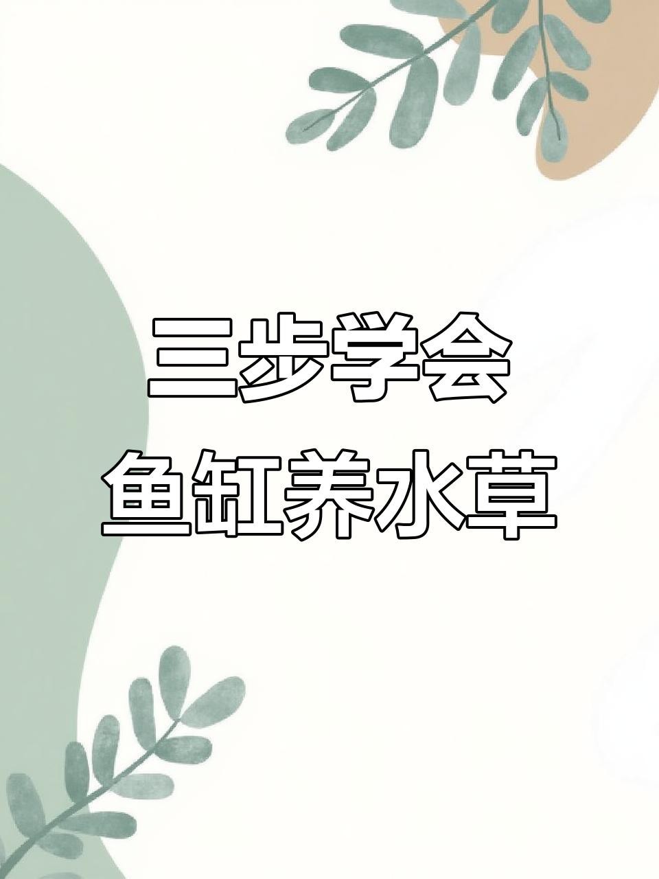 過背金龍魚缸水草種植步驟【過背金龍魚缸水草種植基本步驟】