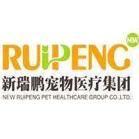 龍貓會有先天性疾病嗎【龍貓是否會有先天性疾病】