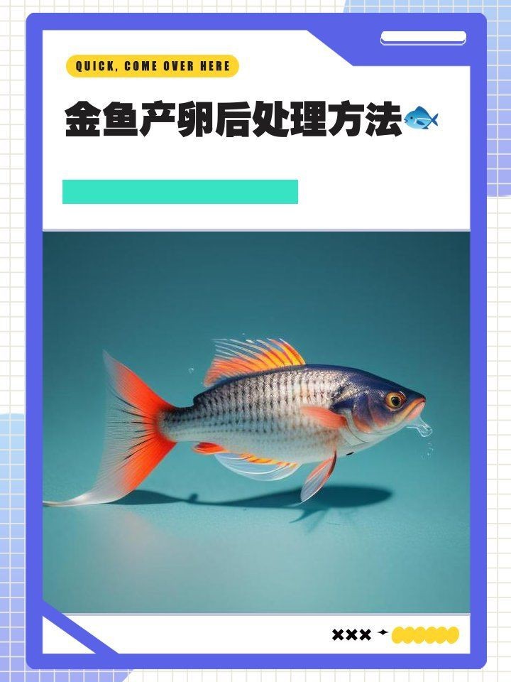 金魚產卵后可以不管嗎【金魚產卵后不能不管**，若放任不管，可能會面臨諸多問題】