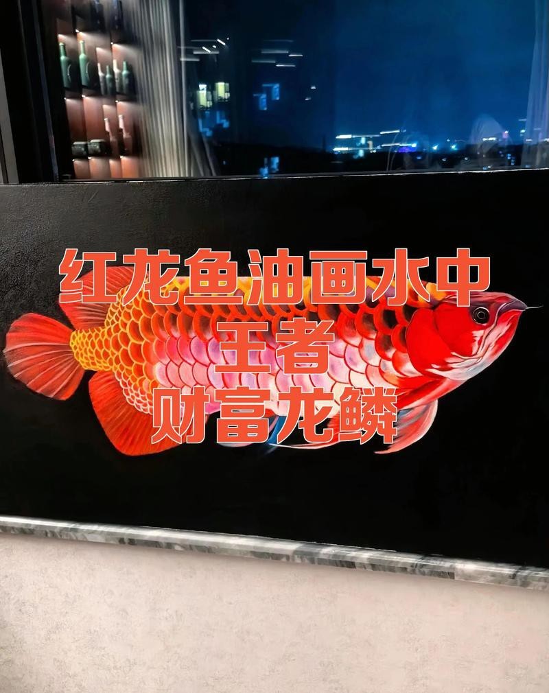 紅龍魚壁紙有哪些尺寸可選？【紅龍魚壁紙尺寸】
