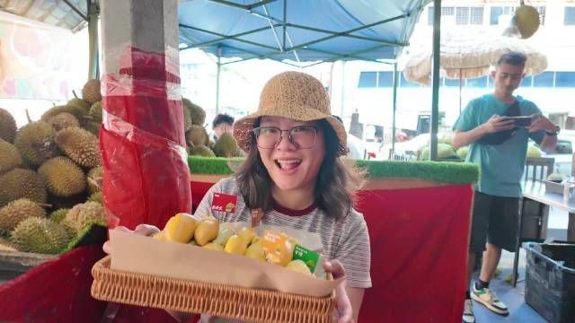 馬來西亞旅游攻略【《馬來西亞旅游攻略》**，馬來西亞旅游攻略】