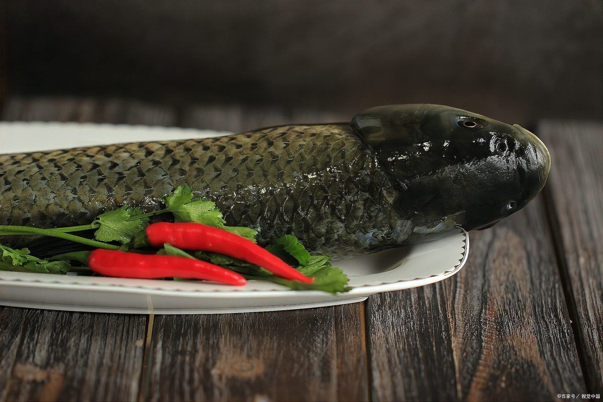 四大名魚【香港四大名魚大揭秘】