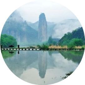 縉云漁苗價格表2023最新【縉云縣2023年漁苗市場價格分析與產業發展報告】