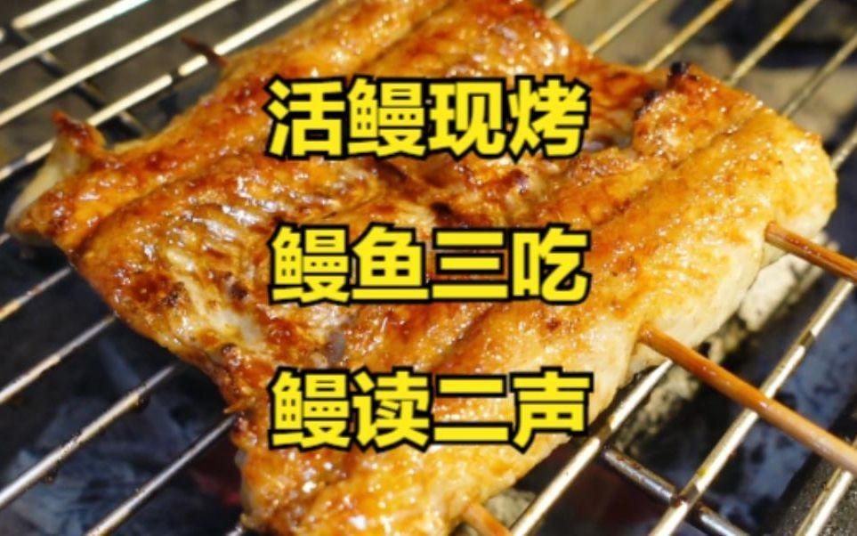 鰻魚正確發音是二聲嗎【鰻魚的正確發音是二聲**,鰻魚讀manyu還是manyu】 鰻魚正確發音是二聲嗎【鰻魚的正確發音是二聲**,鰻魚讀manyu還是manyu】 龍魚百科 第1張